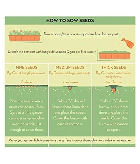 Multi Flower Seed
