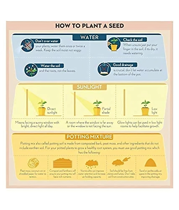 Multi Flower Seed