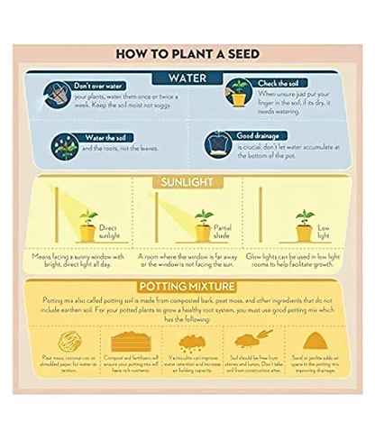 Multi Flower Seed